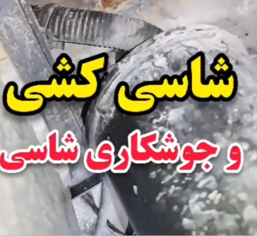 کارشناسی خودرو پراید